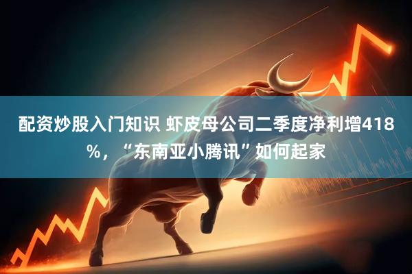 配资炒股入门知识 虾皮母公司二季度净利增418%，“东南亚小腾讯”如何起家